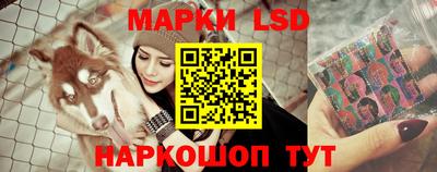 дурь Камышлов