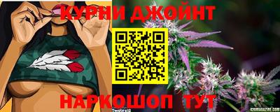 дурь Камышлов