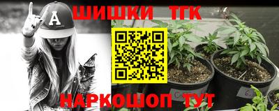 прущие грибы Канаш