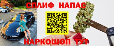 прущие грибы Канаш